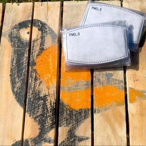 20 ~ PM2.5 Filter Inserts for Adult Face Mask